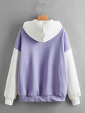 Sweat à capuche épais doublé polaire de couleur assortie