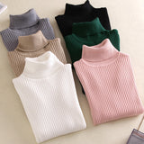 Solid Color Turtleneck Long Sleeve Slim Fit Knitted Sweater for Women