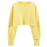 Lemon Yellow